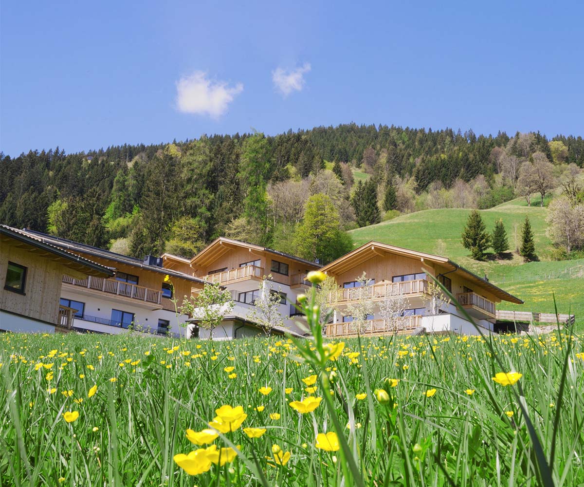 A New Austrian Mountain Retreat Built to Reset Mind and Body image