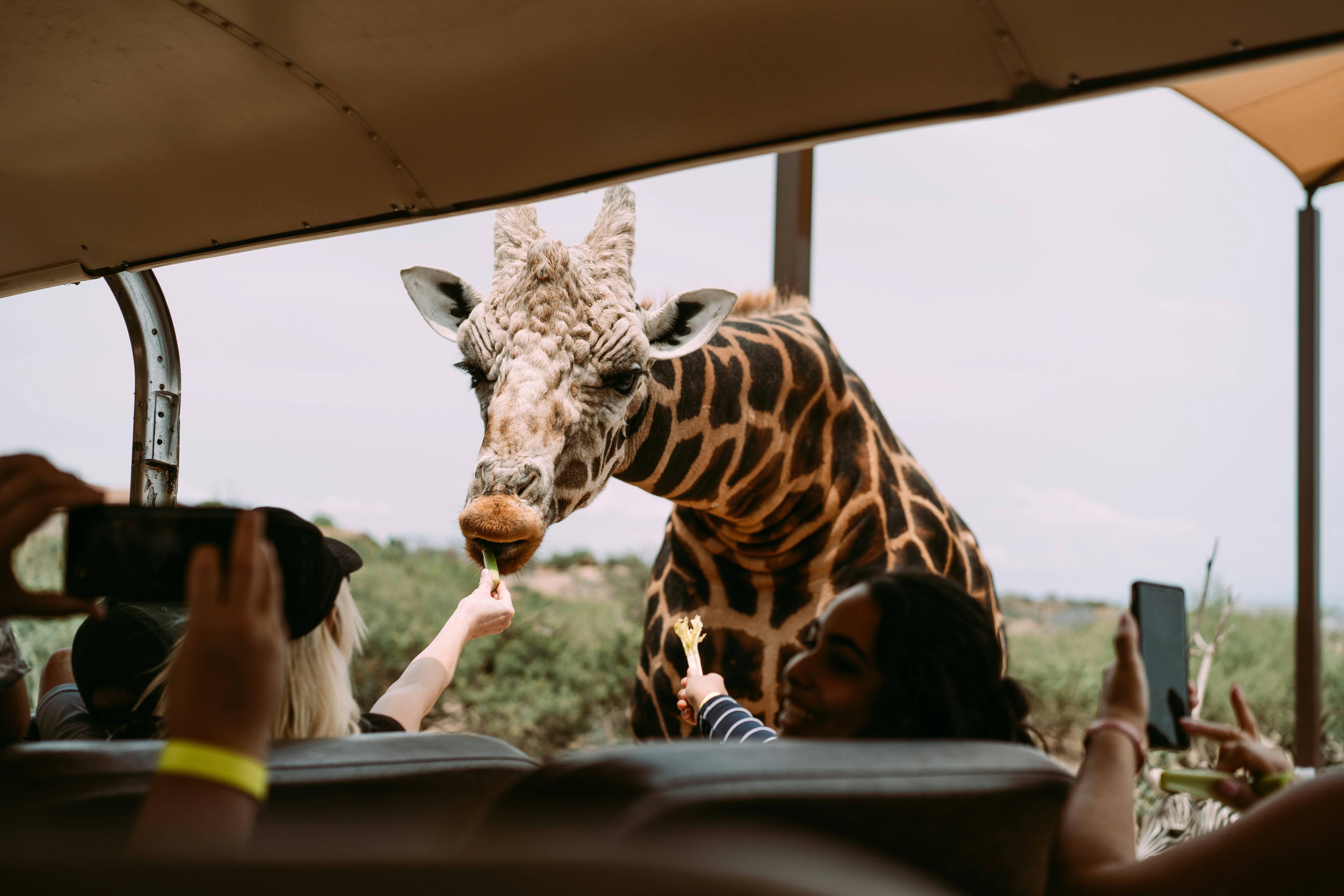 African adventures beyond the Big Five image