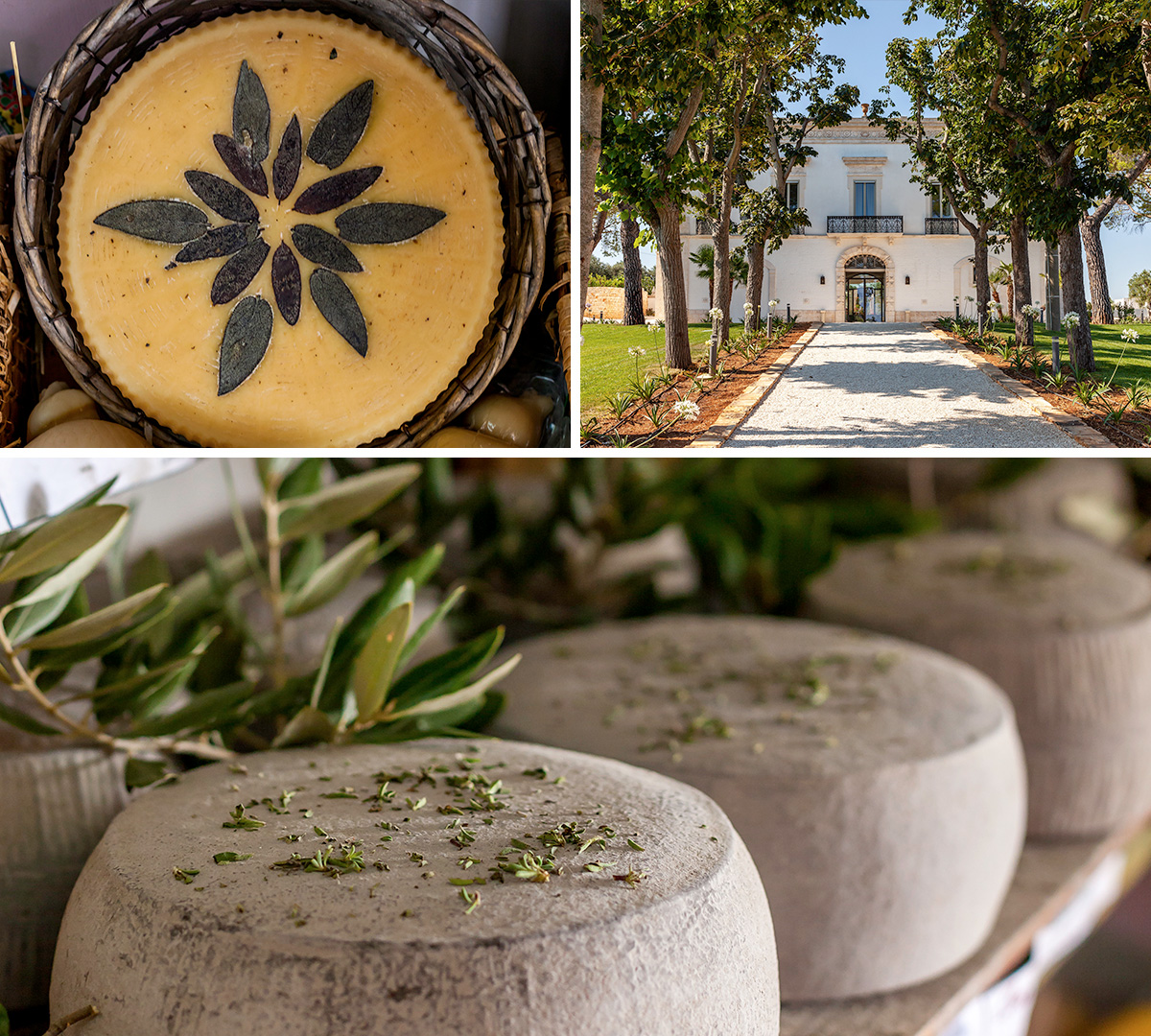 Victor-Blog-Triking-Traveller-Cheese