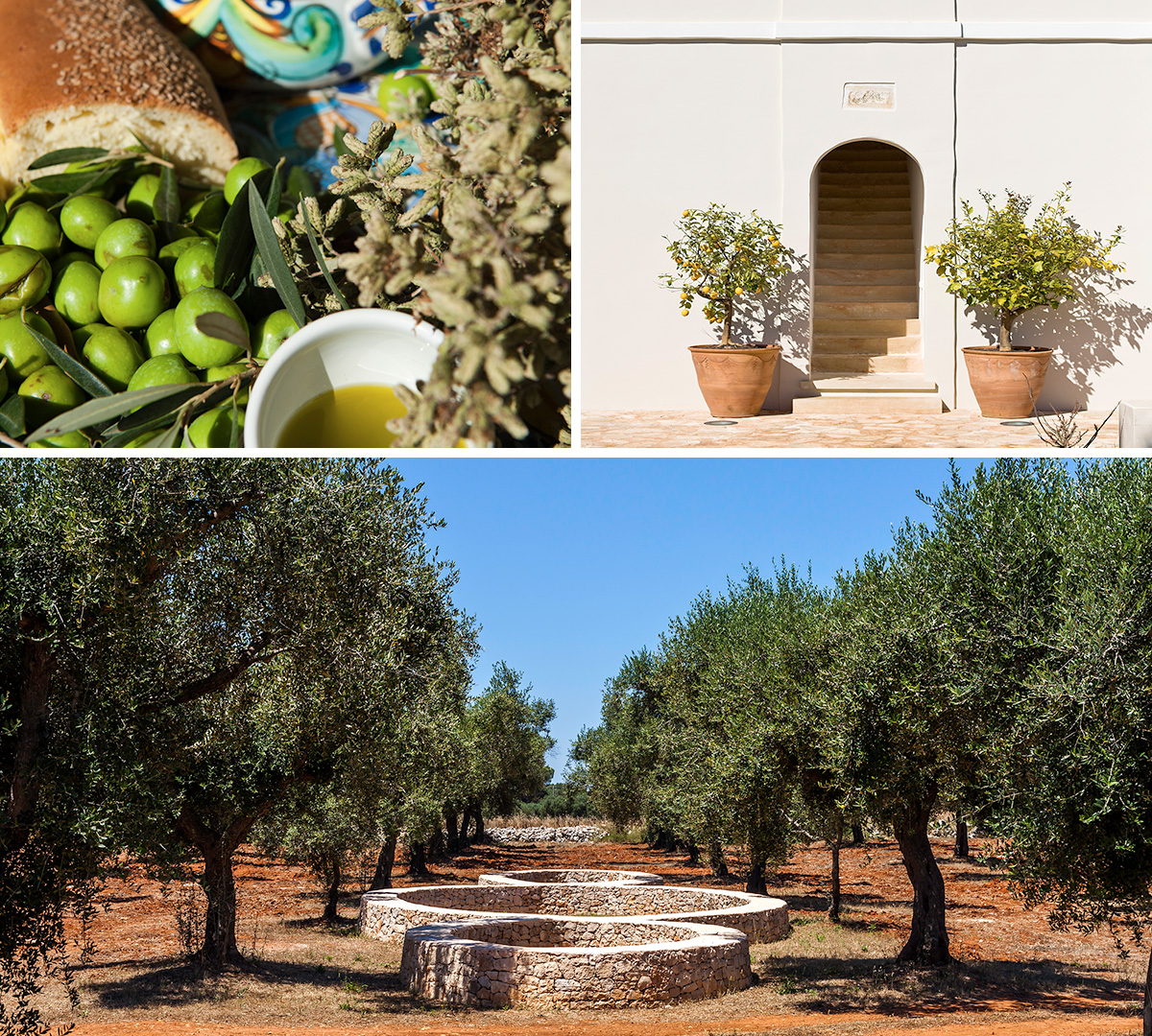 Victor-Blog-Triking-Traveller-Olive-Oil