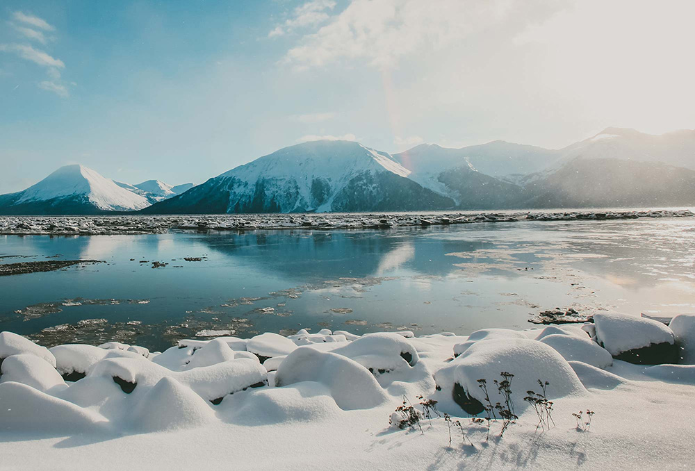 climate action update